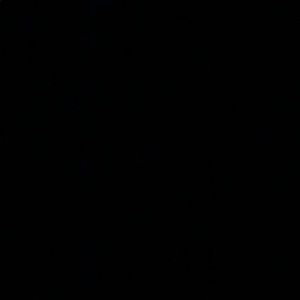 Meet your Posher, Ariel